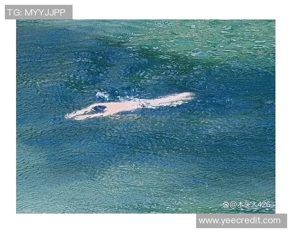 蛙泳对身体健康的多重益处与全面锻炼效果解析 蛙泳对身体健康的多重益处与全面锻炼效果解析