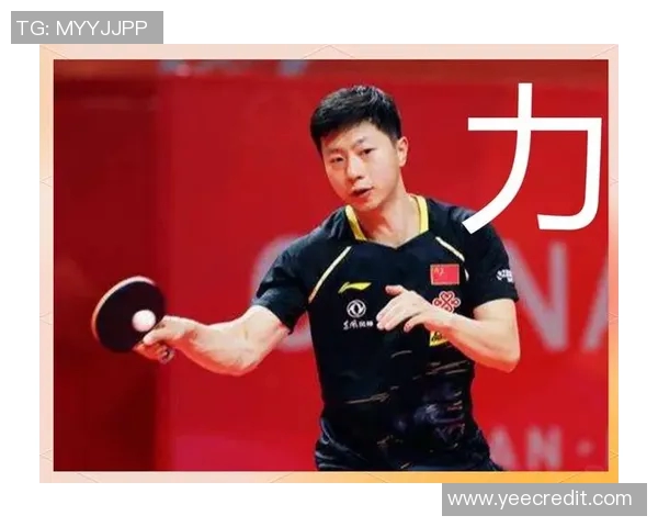 乒乓球新手必看力量训练技巧与入门指南全解析 乒乓球新手必看力量训练技巧与入门指南全解析